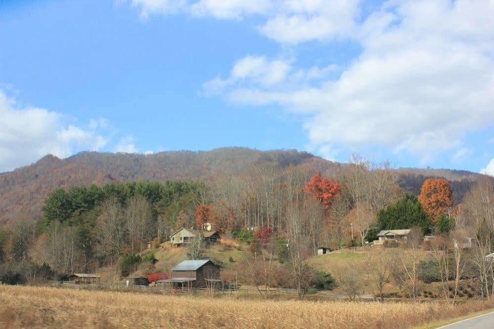 The Yellow House On Plott Creek Waynesville Eksteriør bilde