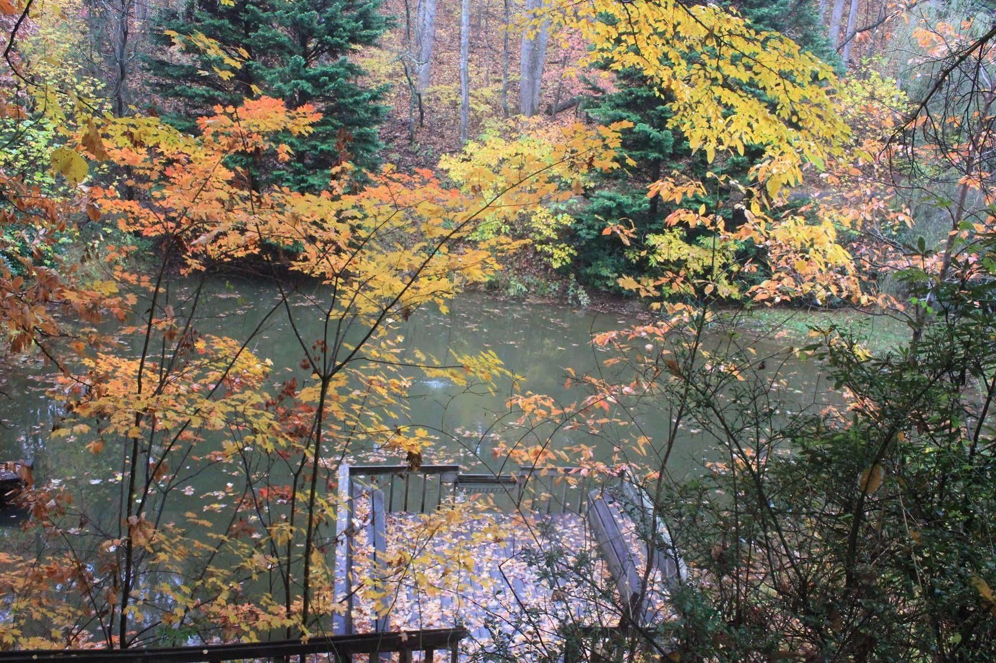 The Yellow House On Plott Creek Waynesville Eksteriør bilde